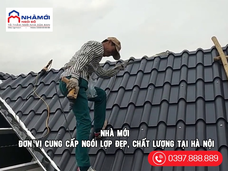 đơn vị cung cấp ngói lợp đẹp